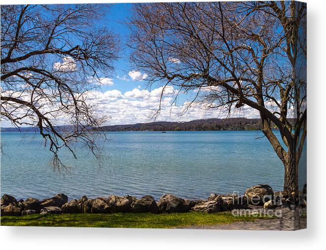 Shade Canvas Print featuring the photograph Canandaigua by William Norton