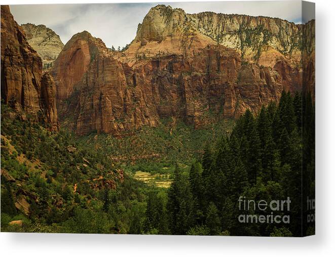Zion National Park Canvas Print featuring the photograph Canyons in Zion by George Kenhan