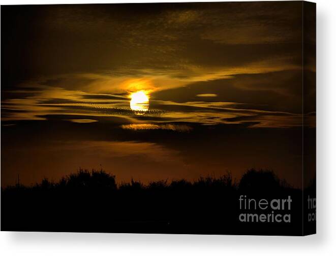 Sunset Canvas Print featuring the photograph Captured My Eye by Diana Mary Sharpton