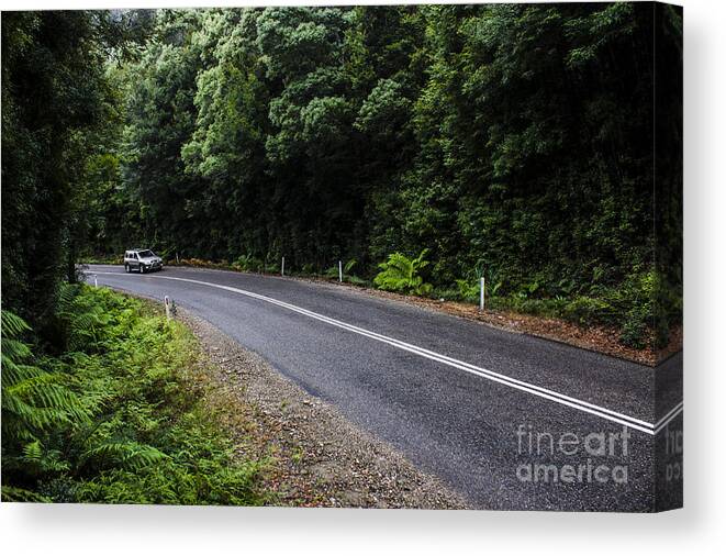 Car Canvas Print featuring the photograph Car travelling through rainforest in West Tasmania by Jorgo Photography