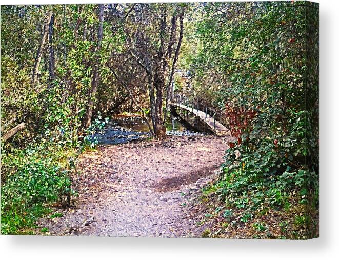 Oil-painting Canvas Print featuring the photograph Carmel River Footbridge At Garland Ranch Oil by Joyce Dickens