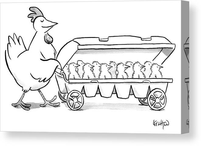 Hen Canvas Print featuring the drawing Carton of Chicks by Robert Leighton