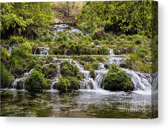 Springs Canvas Print featuring the photograph Cascade Springs Utah by Richard Lynch