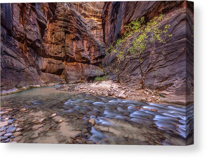 Zion Canvas Print featuring the photograph Cascades in the Narrows of Zion by Pierre Leclerc Photography