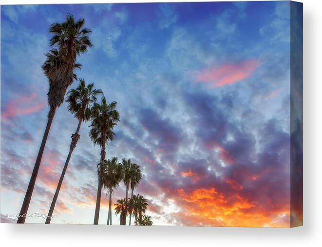 Palms Canvas Print featuring the photograph Casitas Palms by John A Rodriguez