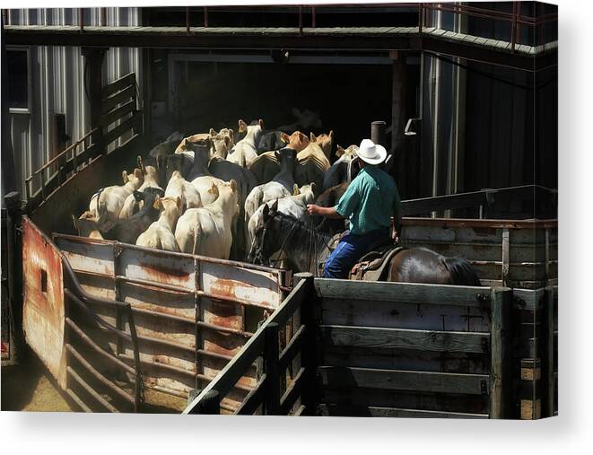 Cattles Auction Canvas Print featuring the photograph Cattles Auction by Micah Offman