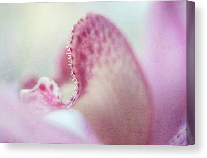 Jenny Rainbow Fine Art Photography Canvas Print featuring the photograph Cattleya Orchid Abstract by Jenny Rainbow