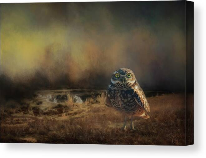 Animals Canvas Print featuring the photograph Caught in the Last Light by Teresa Wilson