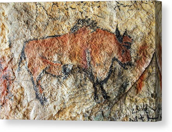 Bull Canvas Print featuring the photograph Cave painting in prehistoric style by Michal Boubin