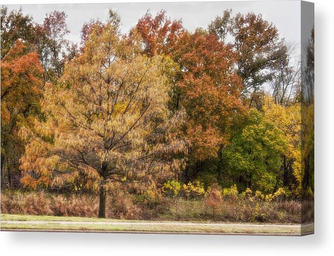 Trees. Autumn Scene Canvas Print featuring the photograph Center of Attention by Joan Bertucci