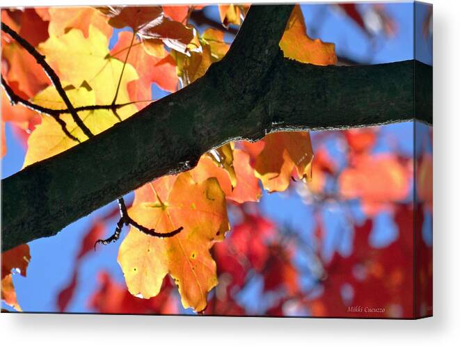 Tree Canvas Print featuring the photograph Changing of the colors by Mikki Cucuzzo