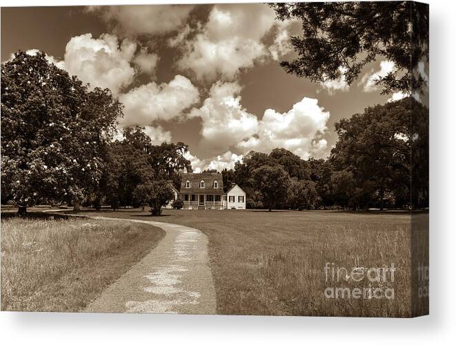 Charles Pinckney Historic Site Canvas Print featuring the photograph Charles Pinckney's Snee Farm Country Retreat by Dale Powell