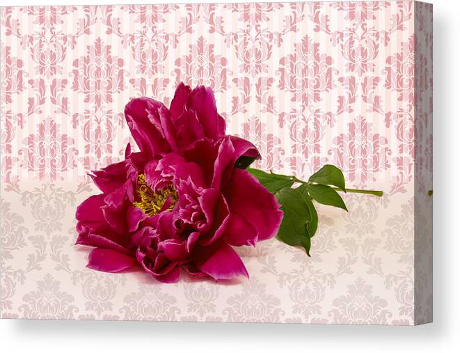 Red Peony Blossom Canvas Print featuring the photograph Charming Lady by Marina Kojukhova