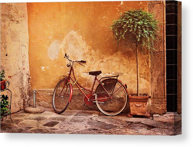 Italy Canvas Print featuring the photograph Charming Lucca by Jill Love