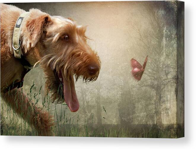 Dog Canvas Print featuring the photograph Chasing Dreams by Ethiriel Photography