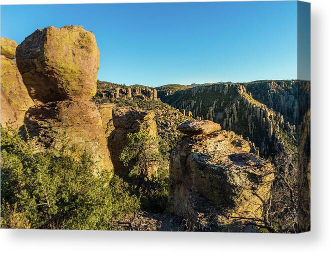 Sunset Canvas Print featuring the photograph Cheers for Chiricahua by TM Schultze