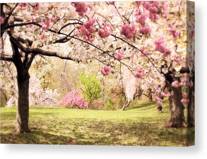 Nature Canvas Print featuring the photograph Cherry Hill Morning by Jessica Jenney