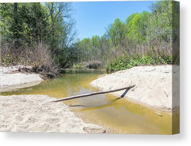 Landscape Canvas Print featuring the photograph Chesapeake Tributary by Charles Kraus