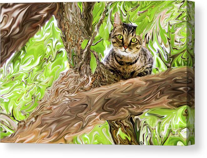 Cat Canvas Print featuring the photograph Cheshire Cat by Kim Yarbrough