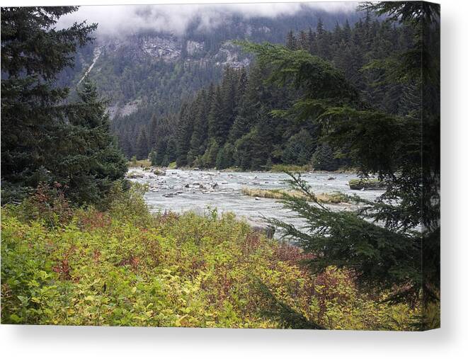 Chilkoot Canvas Print featuring the photograph Chillkoot River 3 by Richard J Cassato