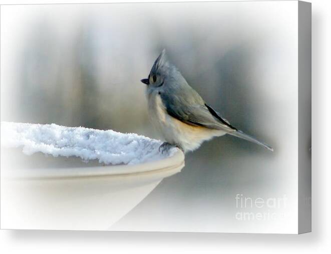 Winter Canvas Print featuring the photograph Chilly Start by Barbara S Nickerson