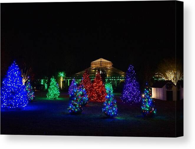  Canvas Print featuring the photograph Christmas Garden 7 by Rodney Lee Williams