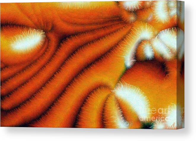 Hair Canvas Print featuring the digital art Cilia by Ron Bissett
