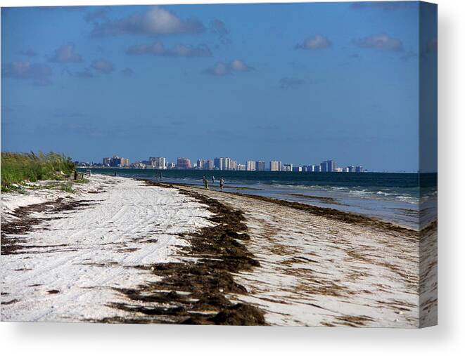 City Of Clearwater Skyline Canvas Print featuring the photograph City of Clearwater Skyline by Barbara Bowen