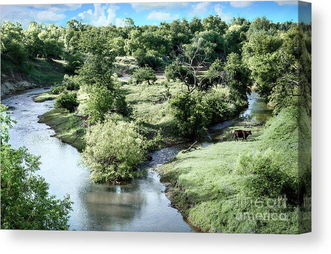 Animal Canvas Print featuring the photograph Clear Fork of the Brazos River by Lawrence Burry