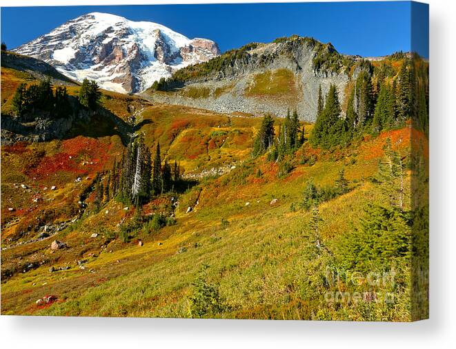 Paradise Meadows Canvas Print featuring the photograph Clear SKies Over Paradise Meadows by Adam Jewell