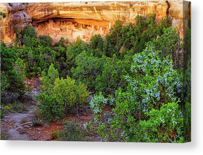 Cliff Palace Canvas Print featuring the photograph Cliff Palace at Mesa Verde National Park - Colorado by Jason Politte