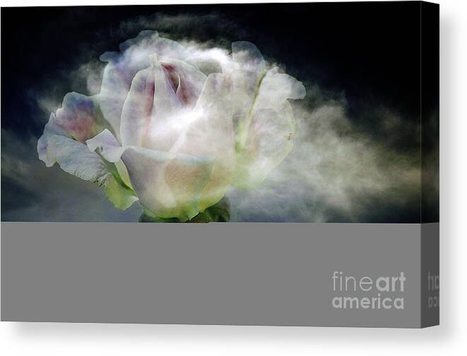 Clay Canvas Print featuring the photograph Cloud Rose by Clayton Bruster