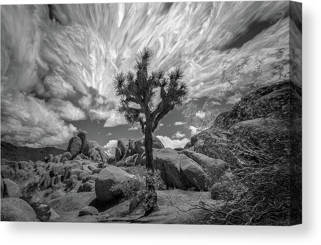Desert Canvas Print featuring the photograph Cloudscapes 3 by Ryan Weddle