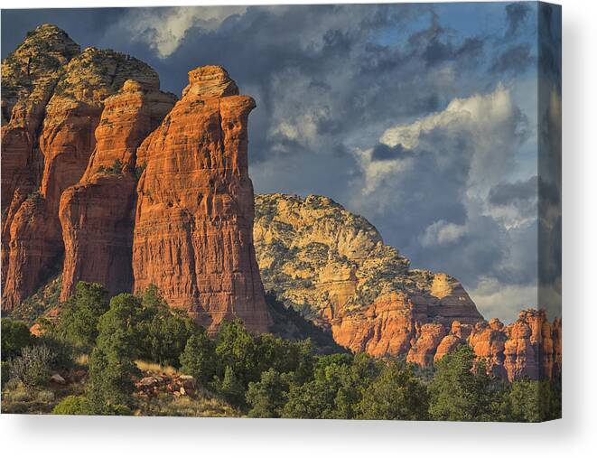 Coffee Pot Rock Canvas Print featuring the photograph Coffee Pot Rules by Tom Kelly
