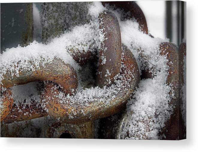 Chain Canvas Print featuring the photograph Cold Steel by Mike Eingle