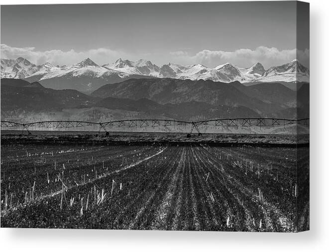 Farming Canvas Print featuring the photograph Colorado Rocky Mountain Agriculture View in Black and White by James BO Insogna