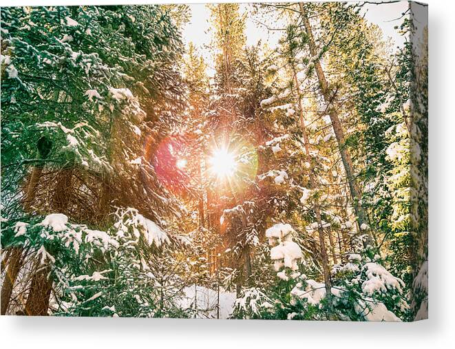 Winter Canvas Print featuring the photograph Colorado Rocky Mountain Snow and Sunshine by James BO Insogna