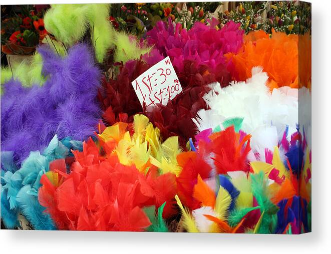 Stockholm Canvas Print featuring the photograph Colorful Easter Feathers by Linda Woods