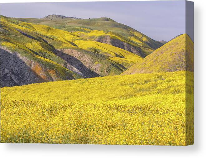 California Canvas Print featuring the photograph Colorful Hill and Golden Field by Marc Crumpler