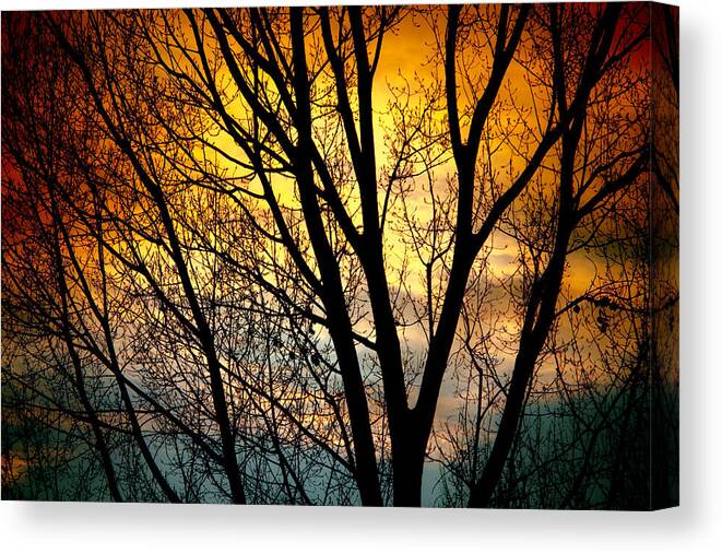 Sunsets Canvas Print featuring the photograph Colorful Sunset Silhouette by James BO Insogna