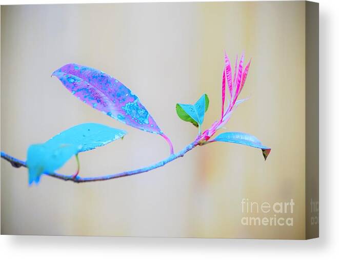Colorful Canvas Print featuring the photograph Colorfully designed by Merle Grenz