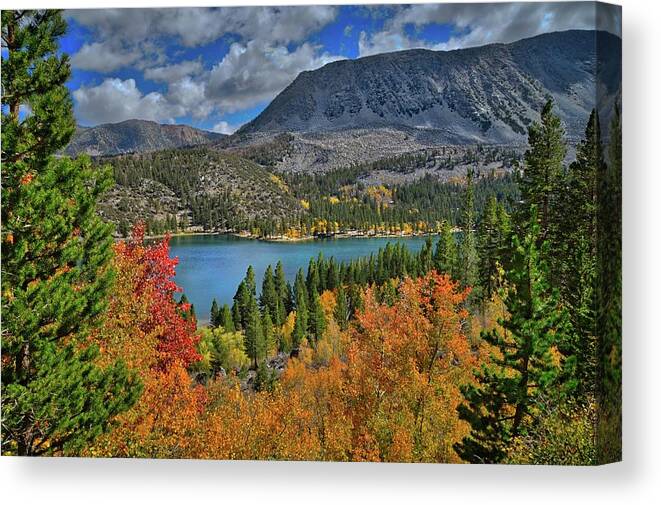 Aspens Canvas Print featuring the photograph Colors of the Season at Rock Creek Lake by Lynn Bauer