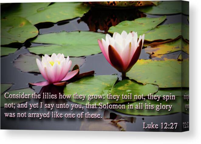 Plant Canvas Print featuring the photograph Consider the Lilies by Tikvah's Hope