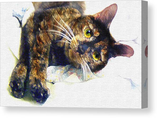 Cat Canvas Print featuring the painting Contented Cat by Jane Schnetlage