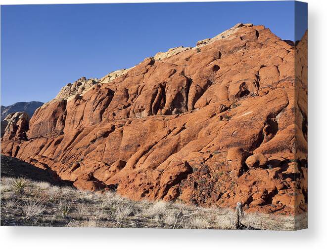Rocks Canvas Print featuring the photograph Contrast by Kelley King