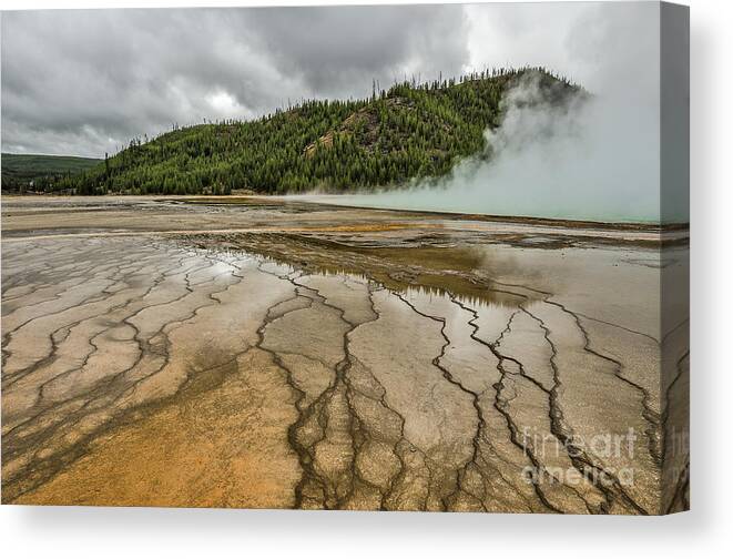Midway Geyser Basin Canvas Print featuring the photograph Contrasts at Midway Geyser Basin by Sue Smith