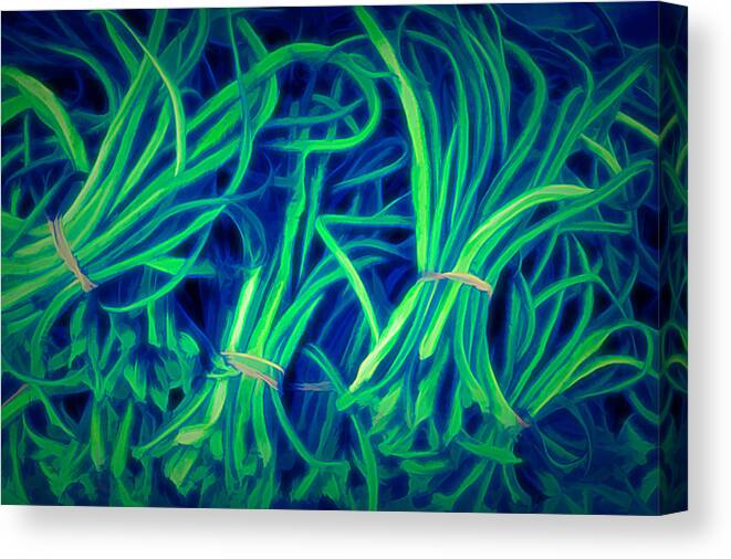 Garlicscapes Canvas Print featuring the photograph Cool Garlicscapes by Tom Reynen