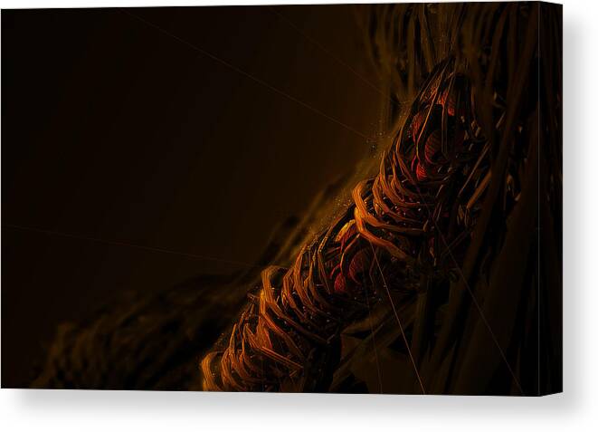 Cool Canvas Print featuring the digital art Cool by Maye Loeser