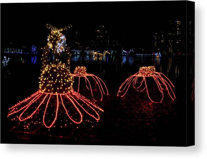 Light The Lake Canvas Print featuring the photograph Coquitlam Light the Lake 3 by Doug Matthews