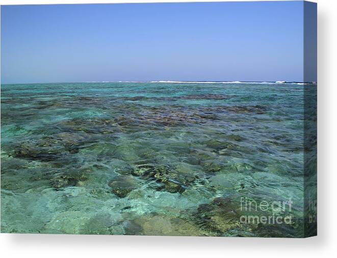 Reef Canvas Print featuring the photograph Coral Reef and Breakers by Edward R Wisell